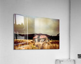 Collapsing old wooden farm building Acrylic Print