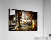 Fire in the hen house Acrylic Print