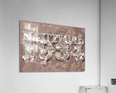 Nautical 1934 Acrylic Print