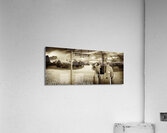 Another Day In Suburbia Acrylic Print