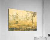 Mystical lake Acrylic Print