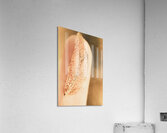 Autumn fragility Acrylic Print