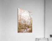 Touring Mt Walsh National Park Acrylic Print