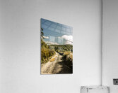 Zeehan dirt road landscape Acrylic Print