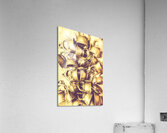 Antique cafe composition Acrylic Print