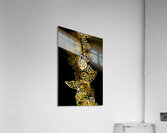 The shimmer  Acrylic Print