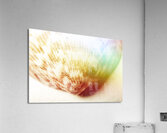 Colorful light flare over seashell Acrylic Print