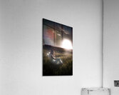 Field Of Dreams Acrylic Print