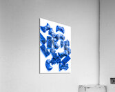 Padded out Acrylic Print