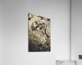 Pioneering aviation and travel Acrylic Print