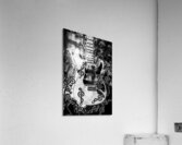 Tone clef Acrylic Print