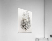 Hole in the official story Acrylic Print