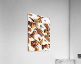 Sweet disposition Acrylic Print