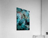 Winged wonderland Acrylic Print