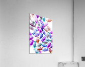 Pop Koiture Acrylic Print