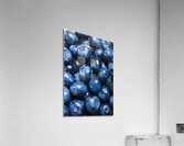 Blueberrys background Acrylic Print