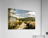 Rural paths out yonder Acrylic Print