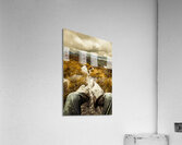 Hiking the Mount Sprent Trail Acrylic Print