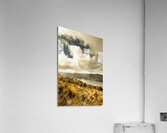 Serpentine dam Tasmania Acrylic Print