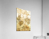 World of old Acrylic Print