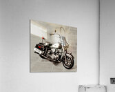 The Bill Acrylic Print