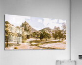 Ornate outbacks Acrylic Print