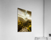 Foggy mountainous forest Acrylic Print