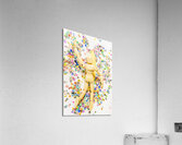 Sticker surf Acrylic Print