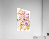 Play on dance harmonics Acrylic Print