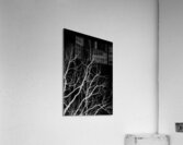 Winters bare Acrylic Print