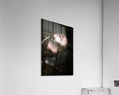 Moon Lit Face Acrylic Print