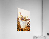 Baristacrat Acrylic Print