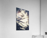 Feathers of freedom and the statue of liberty Acrylic Print