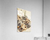 Fancy dress timepieces Acrylic Print