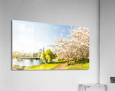 Deloraine cherry tree panorama Acrylic Print