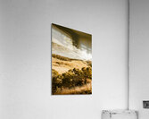 Old summer hills Acrylic Print