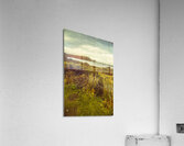 Grassy hills and distant mountains Acrylic Print