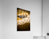 Sea shells and ocean ripples Acrylic Print