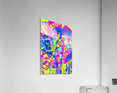 Decked out Acrylic Print