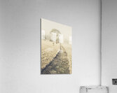 Trees in fog and mist Acrylic Print