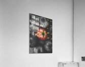 Selective colour still life fruits Acrylic Print