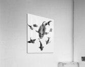 Greywaters  Acrylic Print