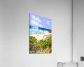 Coastal clearing Acrylic Print