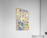 Creative skate Acrylic Print