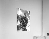 Leaves and light Acrylic Print