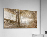 Vintage Deception Bay woodland Acrylic Print