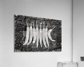 Pepper portrait Acrylic Print