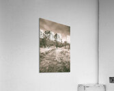 Through fields aplenty Acrylic Print