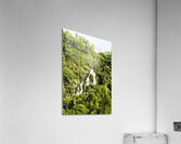 Rainforest rapids Acrylic Print