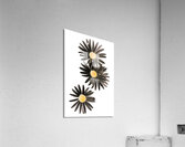 Seisiad Acrylic Print